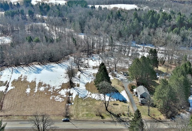 aerial view featuring a forest view