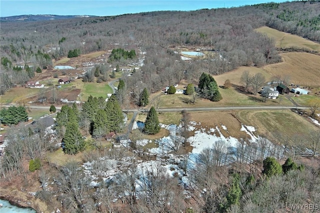 drone / aerial view featuring a forest view