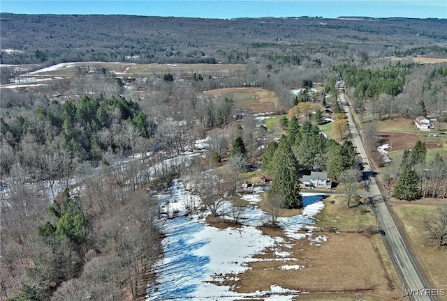 drone / aerial view featuring a view of trees