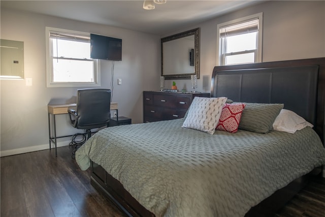 bedroom with electric panel, baseboards, multiple windows, and dark wood-style flooring