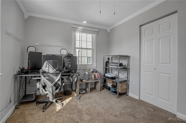 office space with baseboards, carpet floors, and ornamental molding