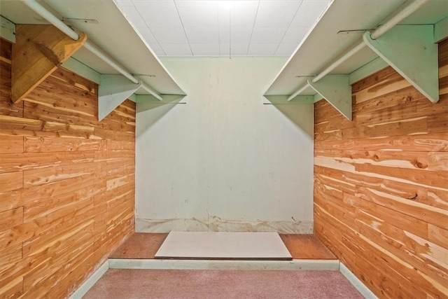 spacious closet featuring carpet flooring