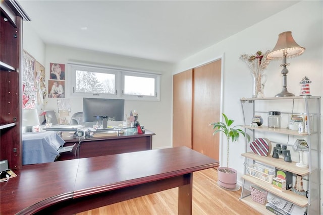 office featuring wood finished floors