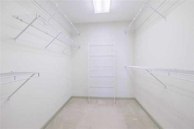 spacious closet with carpet