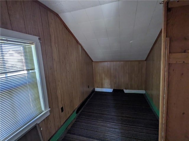 additional living space with wooden walls and a healthy amount of sunlight