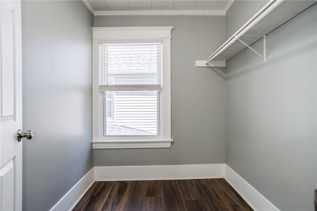 walk in closet with dark wood finished floors