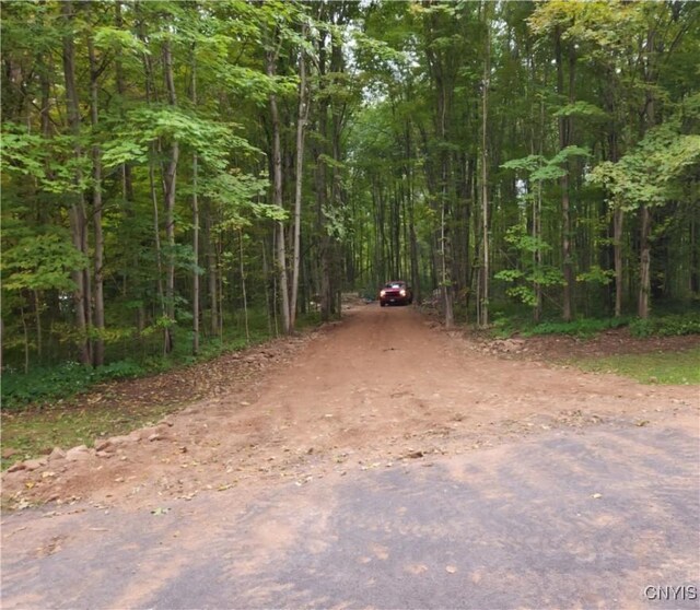 47 Cemetery Dr, Hannibal, NY 13074 - photo 15