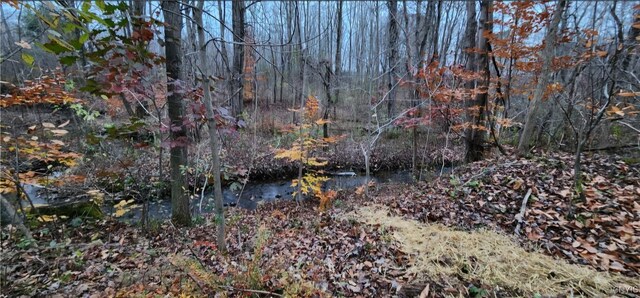 47 Cemetery Dr, Hannibal, NY 13074 - photo 17