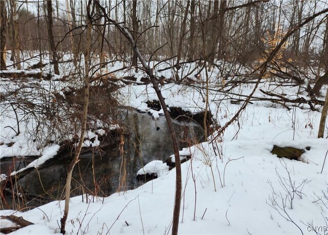 47 Cemetery Dr, Hannibal, NY 13074 - photo 20