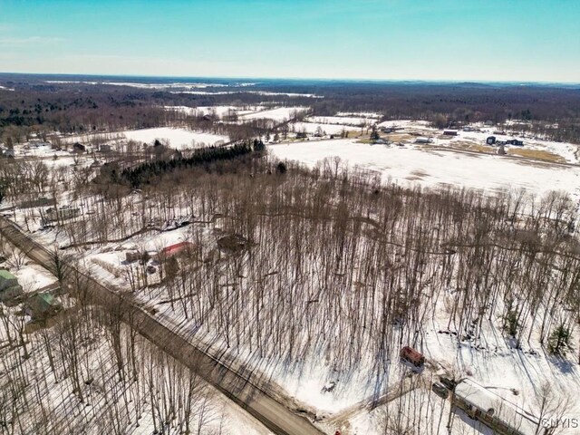 47 Cemetery Dr, Hannibal, NY 13074 - photo 5