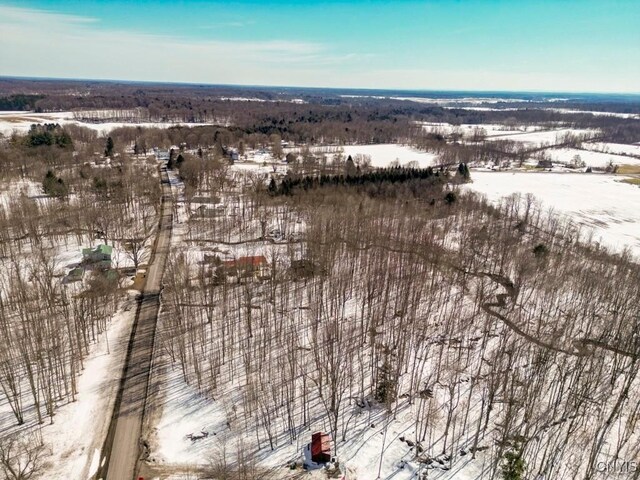 47 Cemetery Dr, Hannibal, NY 13074 - photo 6