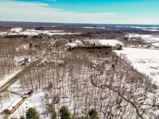 47 Cemetery Dr, Hannibal, NY 13074 - photo 7