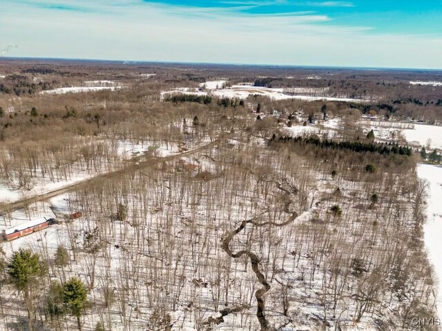 47 Cemetery Dr, Hannibal, NY 13074 - photo 8