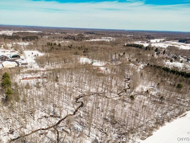 47 Cemetery Dr, Hannibal, NY 13074 - photo 9