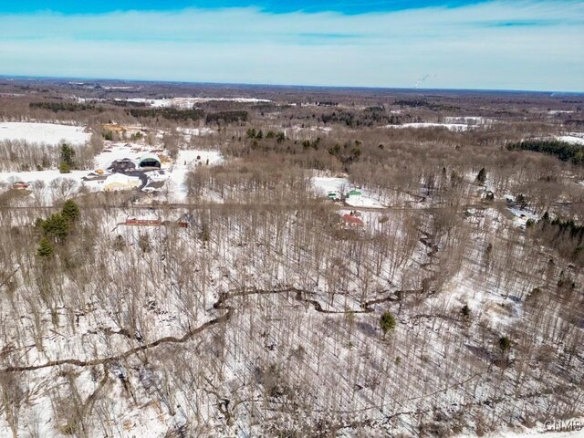 47 Cemetery Dr, Hannibal, NY 13074 - photo 10