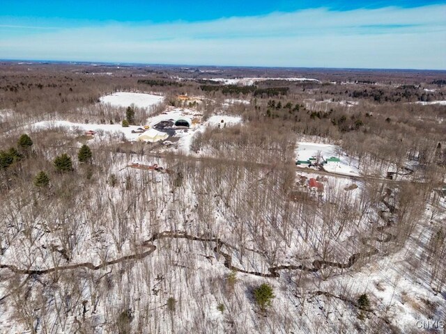 47 Cemetery Dr, Hannibal, NY 13074 - photo 11
