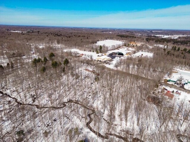 47 Cemetery Dr, Hannibal, NY 13074 - photo 12