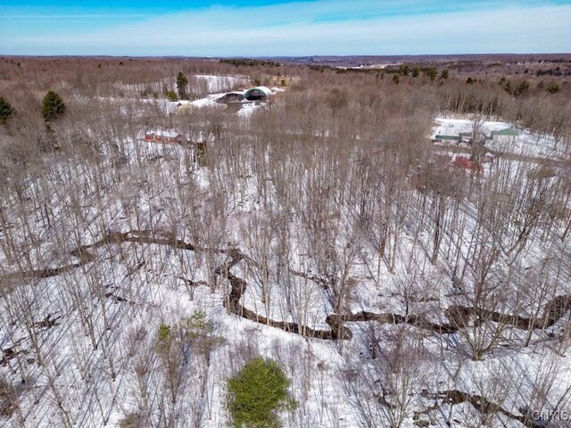 47 Cemetery Dr, Hannibal, NY 13074 - photo 13