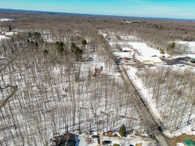 47 Cemetery Dr, Hannibal, NY 13074 - photo 14