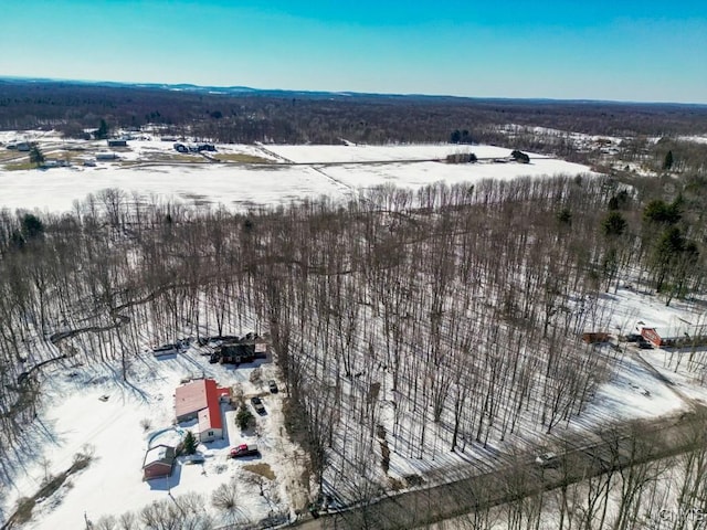 47 Cemetery Dr, Hannibal, NY 13074 - photo 2