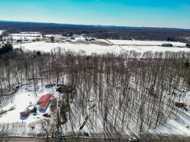 47 Cemetery Dr, Hannibal, NY 13074 - photo 3