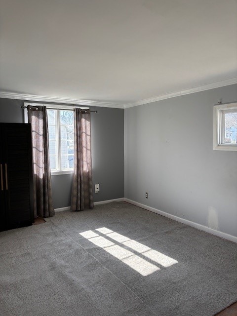 unfurnished room featuring crown molding, baseboards, and carpet floors