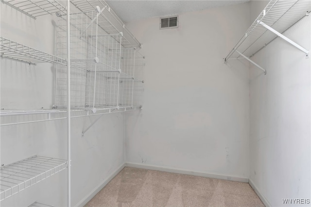 walk in closet featuring carpet and visible vents