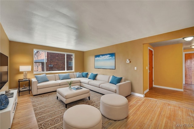 living area featuring baseboards and wood-type flooring