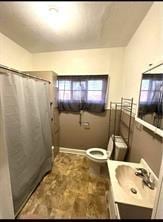 bathroom featuring toilet, vanity, and a shower with curtain