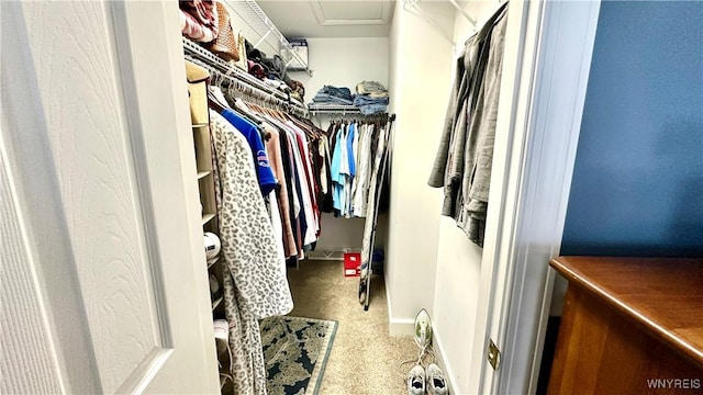 spacious closet featuring carpet flooring and attic access