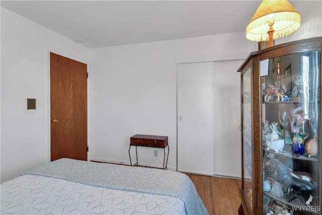 bedroom featuring wood finished floors and a closet