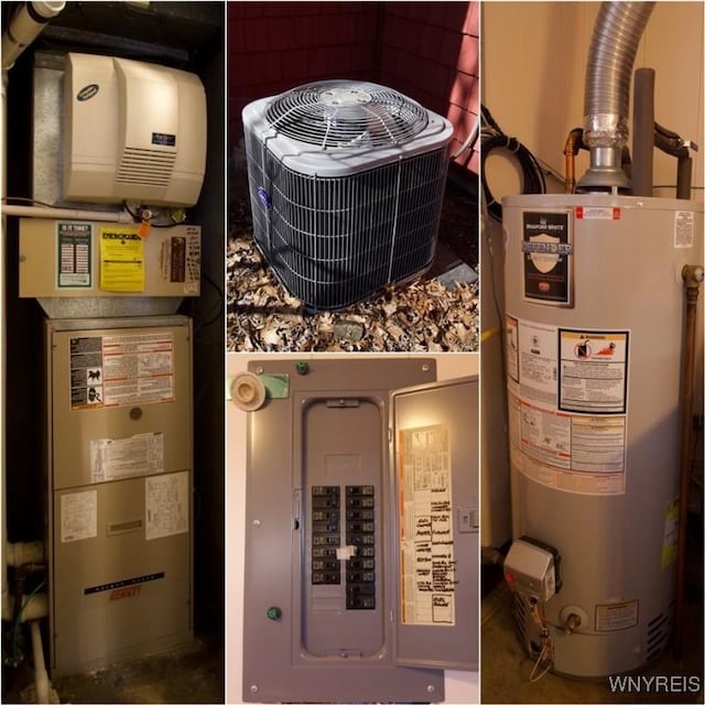 utilities with gas water heater and electric panel