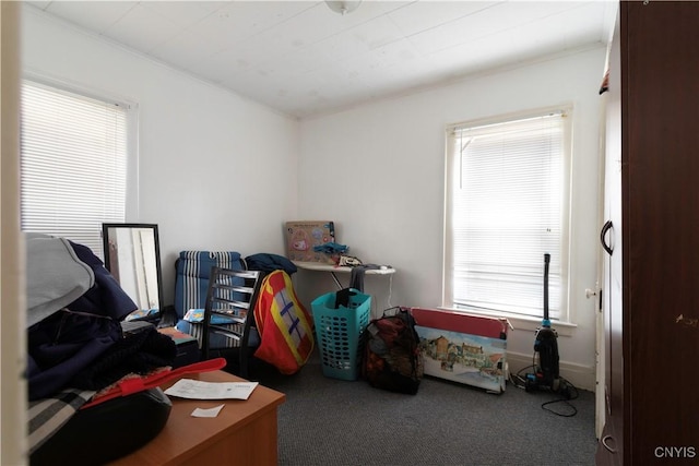 view of carpeted office space