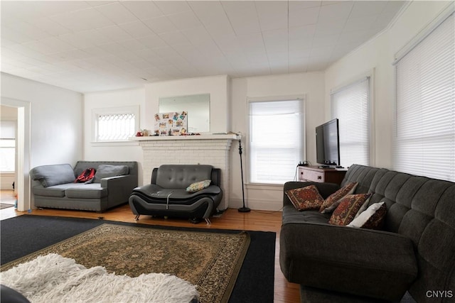 living room featuring plenty of natural light and wood finished floors