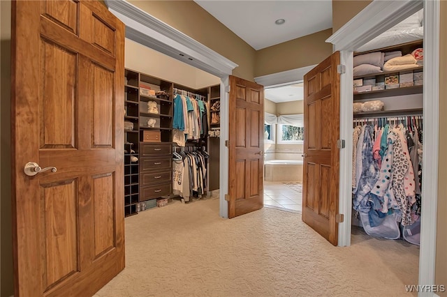 spacious closet with carpet