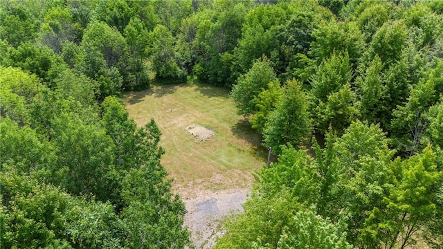 Klutz, Jerusalem NY, 14418 land for sale