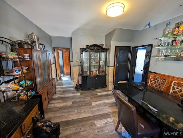 interior space featuring lofted ceiling and wood finished floors