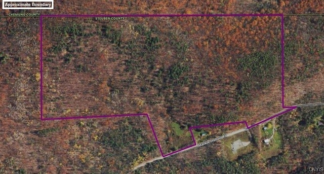 Listing photo 2 for Markle Hollow Rd, Corning NY 14814