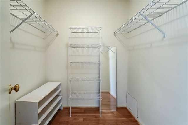 spacious closet with wood finished floors