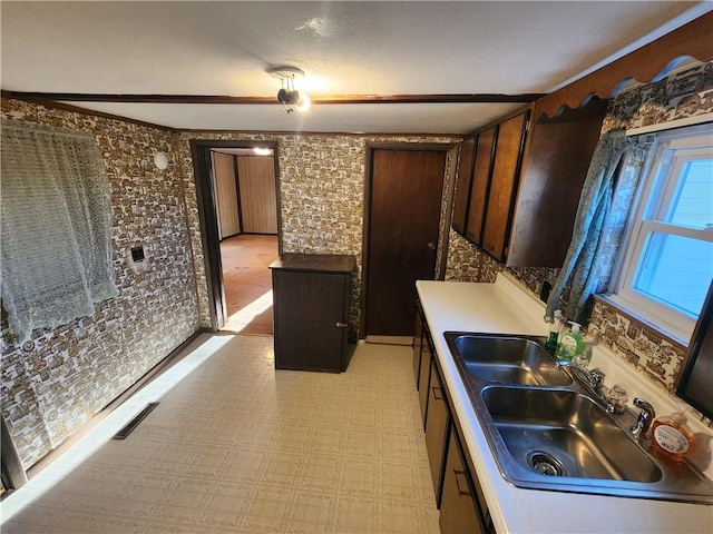 kitchen featuring visible vents, a sink, brick wall, light floors, and dark brown cabinets