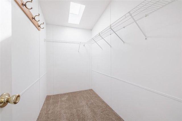 walk in closet featuring carpet and a skylight