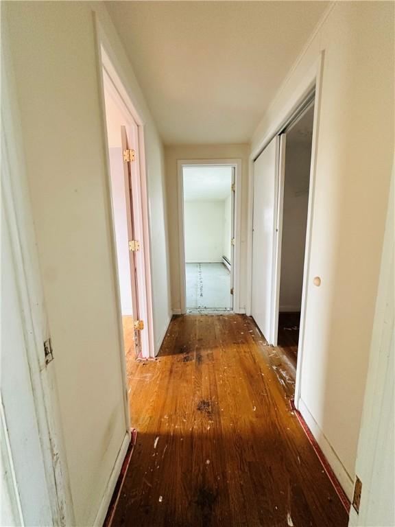 hall with hardwood / wood-style flooring