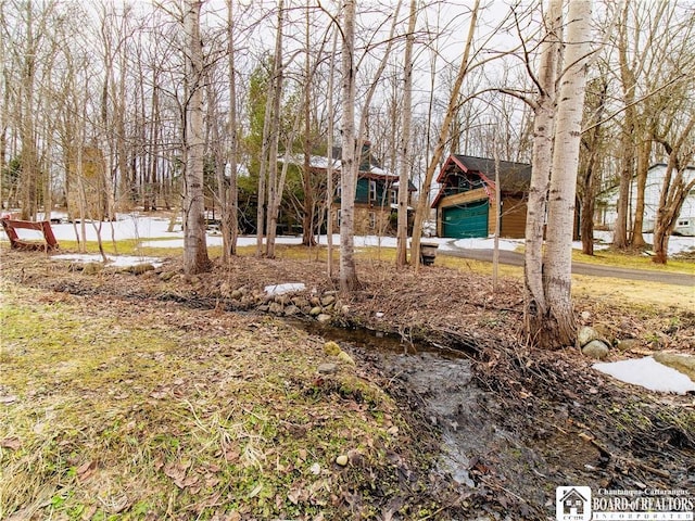 view of yard with a garage