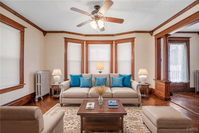 living room featuring a textured ceiling, radiator, and hardwood / wood-style flooring