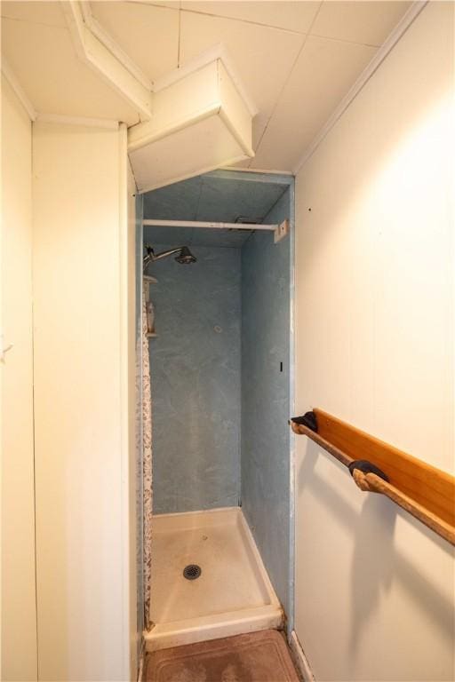 bathroom featuring a shower stall