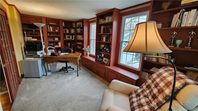 carpeted home office featuring crown molding