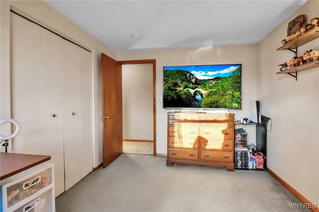 interior space with light carpet, baseboards, and a closet