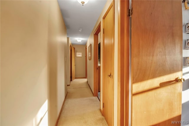 corridor with light colored carpet and baseboards