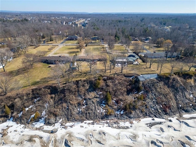 bird's eye view featuring a view of trees