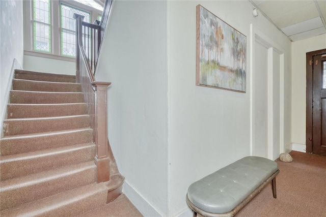 stairway with baseboards and carpet